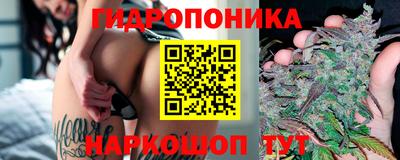 бошки Дубна