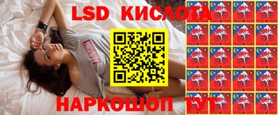 дмт Донской