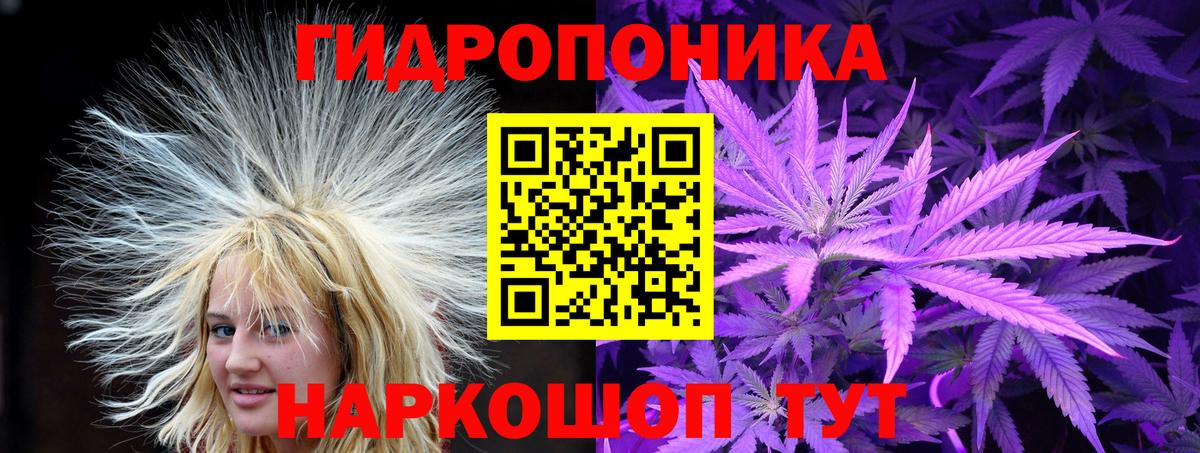Нальчик  Конопля план  Вход с VPN  Каннабис план 